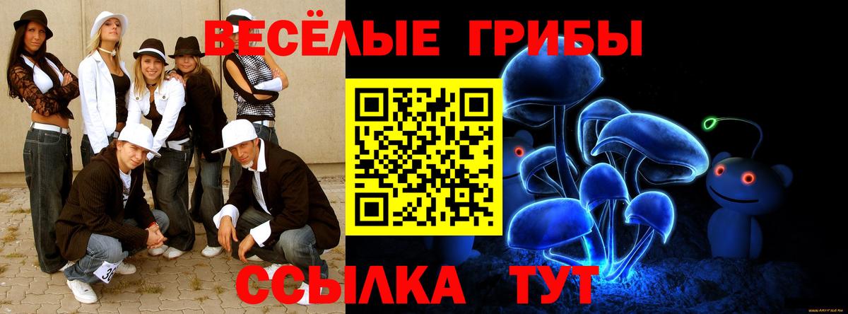 Конаково  Псилоцибиновые грибы Psilocybine cubensis  Вход с VPN 