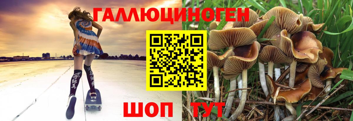 Галлюциногенные грибы Cubensis Конаково